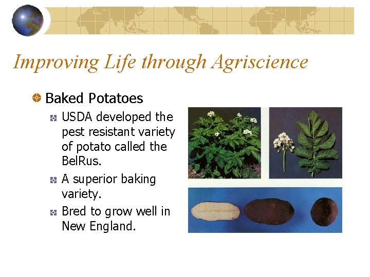 Improving Life through Agriscience Baked Potatoes USDA developed the pest resistant variety of potato
