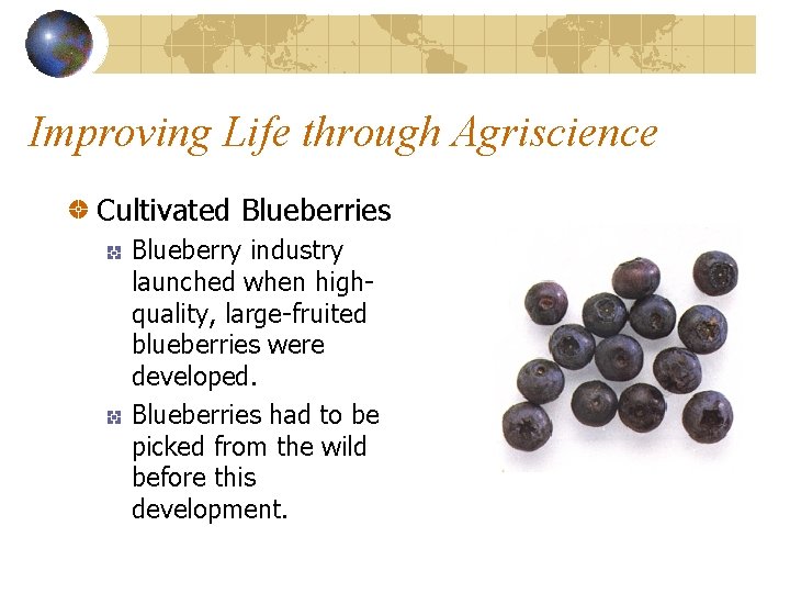 Improving Life through Agriscience Cultivated Blueberries Blueberry industry launched when highquality, large-fruited blueberries were