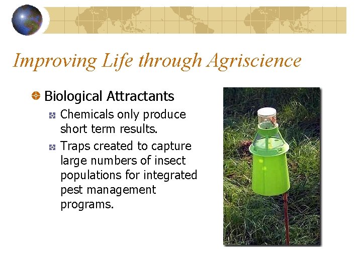 Improving Life through Agriscience Biological Attractants Chemicals only produce short term results. Traps created