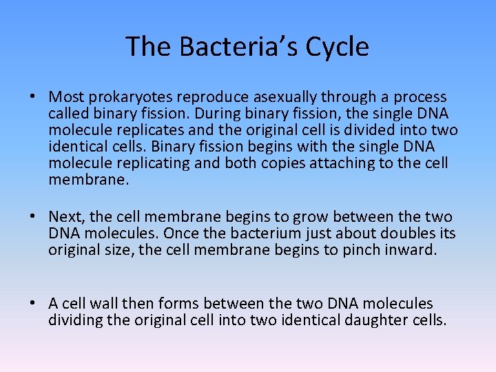 The Bacteria’s Cycle • Most prokaryotes reproduce asexually through a process called binary fission.