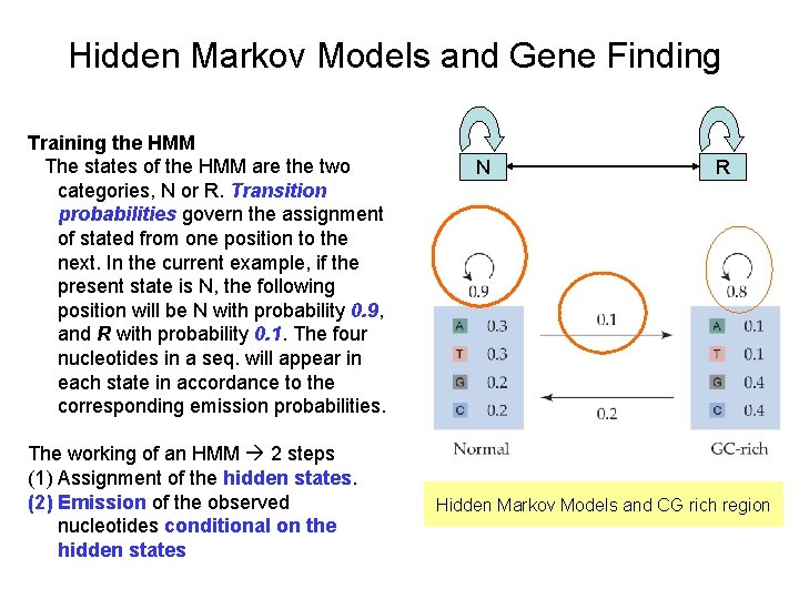 Hidden Markov Models and Gene Finding Training the HMM The states of the HMM