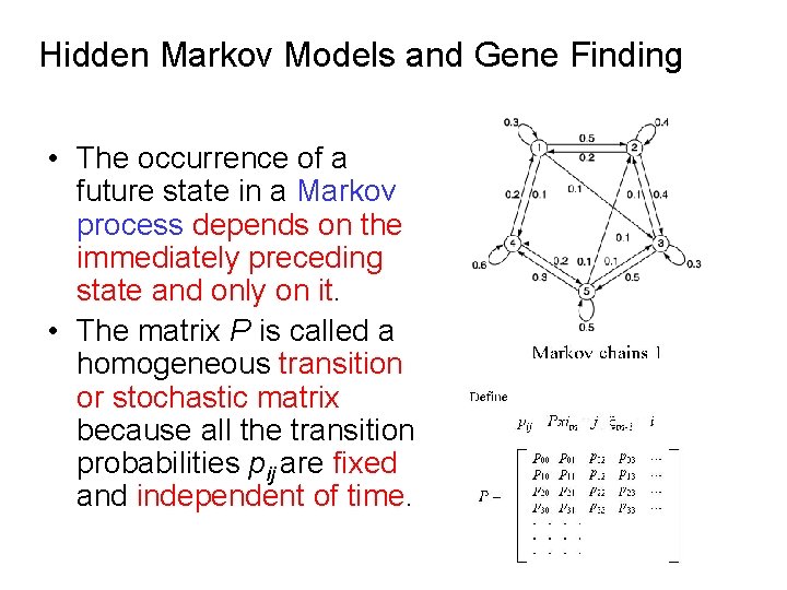 Hidden Markov Models and Gene Finding • The occurrence of a future state in