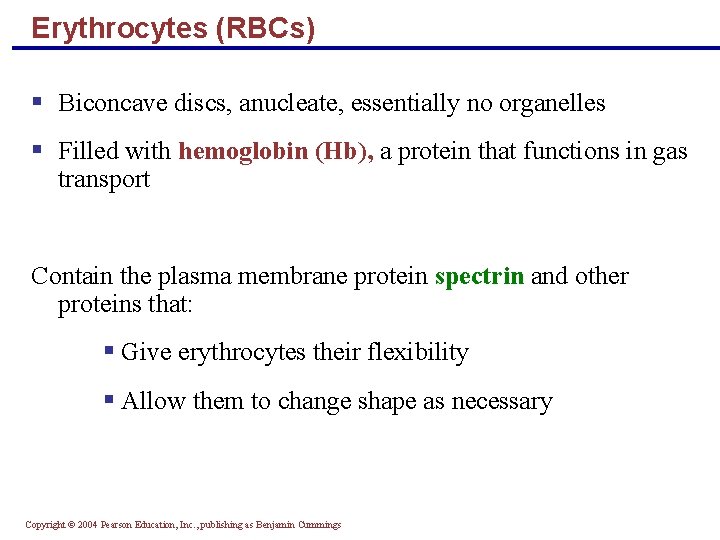 Erythrocytes (RBCs) § Biconcave discs, anucleate, essentially no organelles § Filled with hemoglobin (Hb),