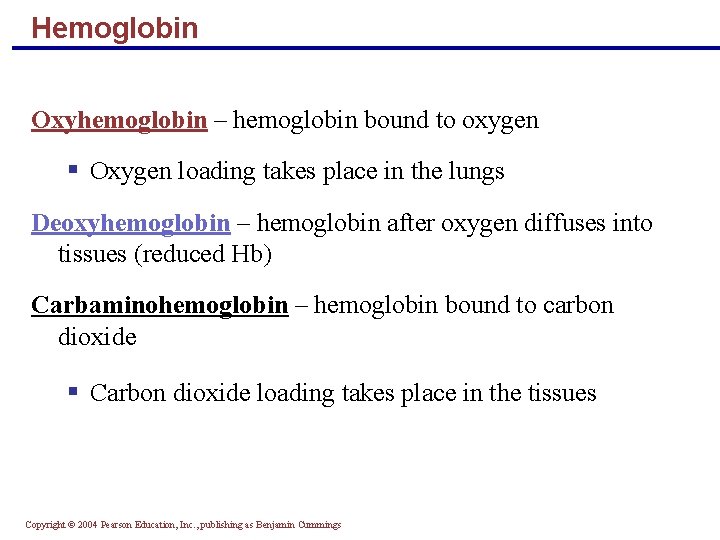 Hemoglobin Oxyhemoglobin – hemoglobin bound to oxygen § Oxygen loading takes place in the