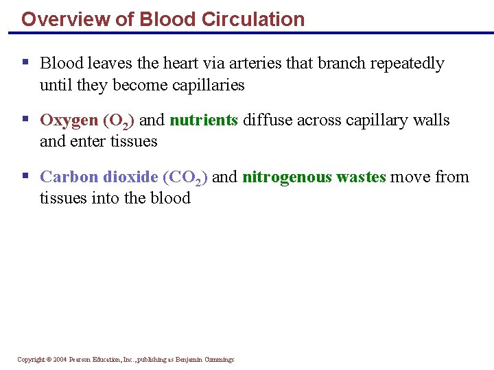 Overview of Blood Circulation § Blood leaves the heart via arteries that branch repeatedly
