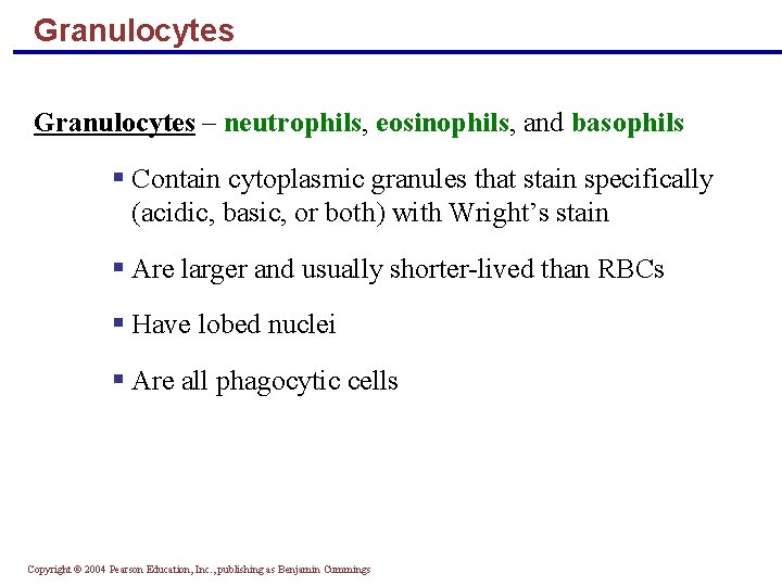 Granulocytes – neutrophils, eosinophils, and basophils § Contain cytoplasmic granules that stain specifically (acidic,