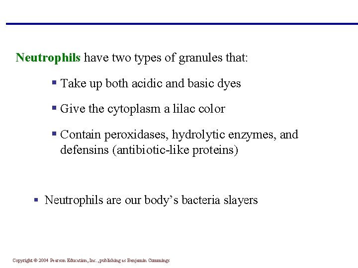 Neutrophils have two types of granules that: § Take up both acidic and basic