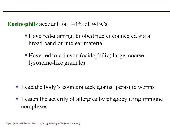 Eosinophils account for 1– 4% of WBCs: § Have red-staining, bilobed nuclei connected via