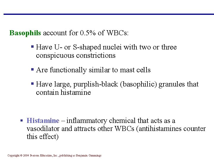 Basophils account for 0. 5% of WBCs: § Have U- or S-shaped nuclei with