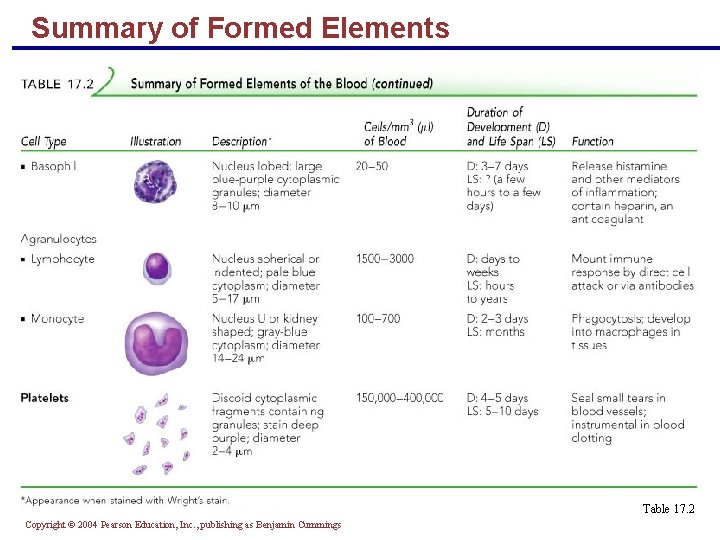 Summary of Formed Elements Table 17. 2 Copyright © 2004 Pearson Education, Inc. ,