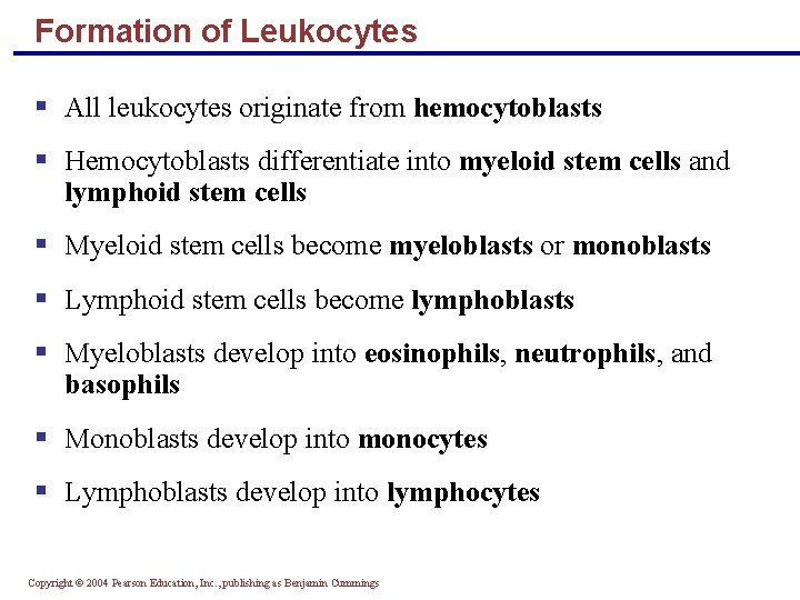 Formation of Leukocytes § All leukocytes originate from hemocytoblasts § Hemocytoblasts differentiate into myeloid