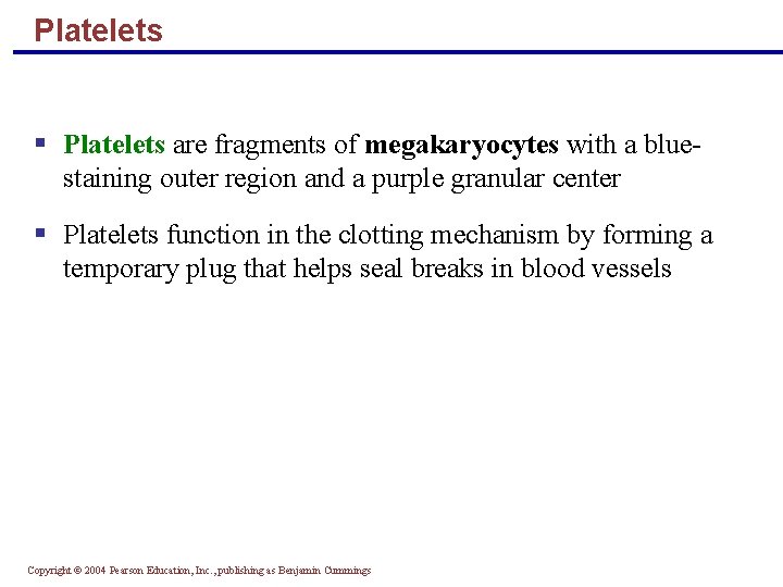 Platelets § Platelets are fragments of megakaryocytes with a bluestaining outer region and a