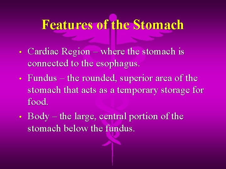 Features of the Stomach • • • Cardiac Region – where the stomach is