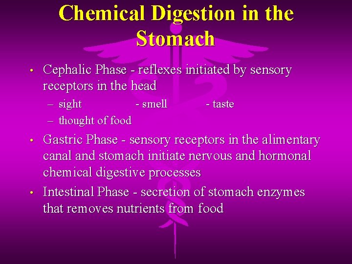 Chemical Digestion in the Stomach • Cephalic Phase - reflexes initiated by sensory receptors