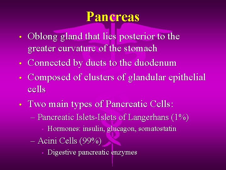 Pancreas • • Oblong gland that lies posterior to the greater curvature of the