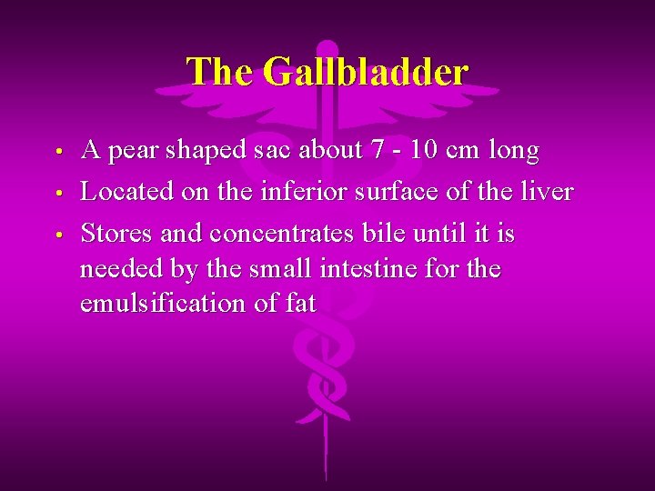 The Gallbladder • • • A pear shaped sac about 7 - 10 cm