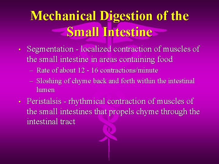 Mechanical Digestion of the Small Intestine • Segmentation - localized contraction of muscles of