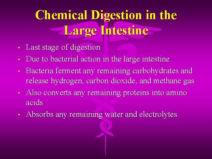 Chemical Digestion in the Large Intestine • • • Last stage of digestion Due