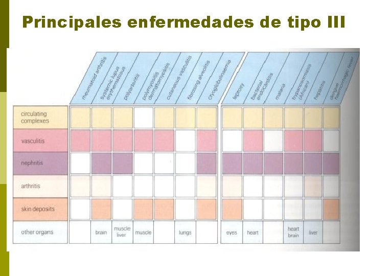 Principales enfermedades de tipo III 