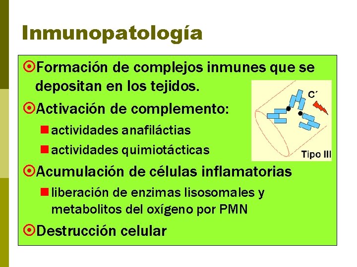 Inmunopatología ¤Formación de complejos inmunes que se depositan en los tejidos. ¤Activación de complemento: