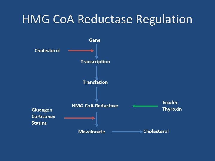 HMG Co. A Reductase Regulation Gene Cholesterol Transcription Translation Glucagon Cortisones Statins HMG Co.