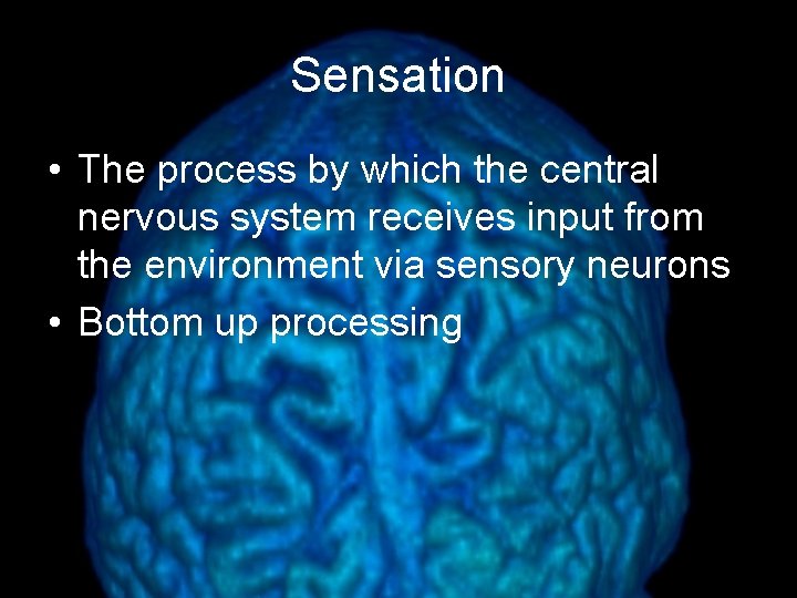 Sensation • The process by which the central nervous system receives input from the