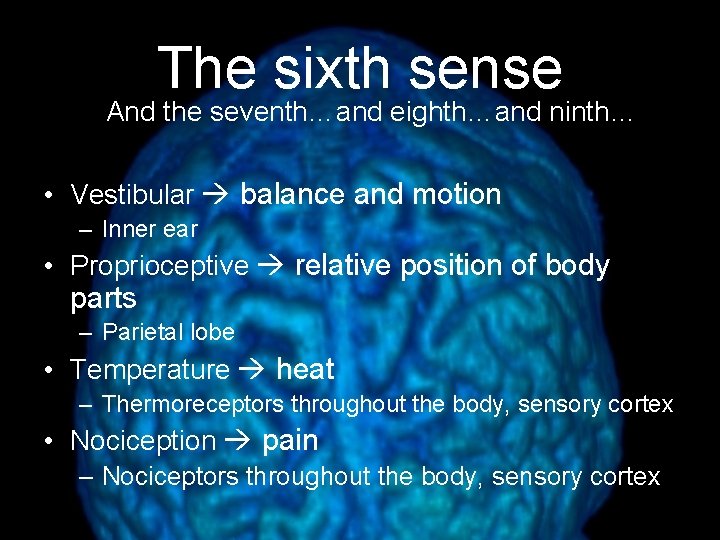 The sixth sense And the seventh…and eighth…and ninth… • Vestibular balance and motion –