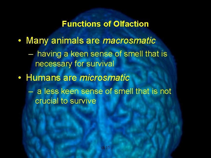 Functions of Olfaction • Many animals are macrosmatic – having a keen sense of