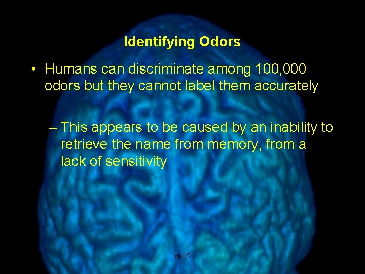 Identifying Odors • Humans can discriminate among 100, 000 odors but they cannot label