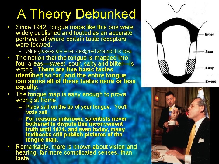 A Theory Debunked • Since 1942, tongue maps like this one were widely published