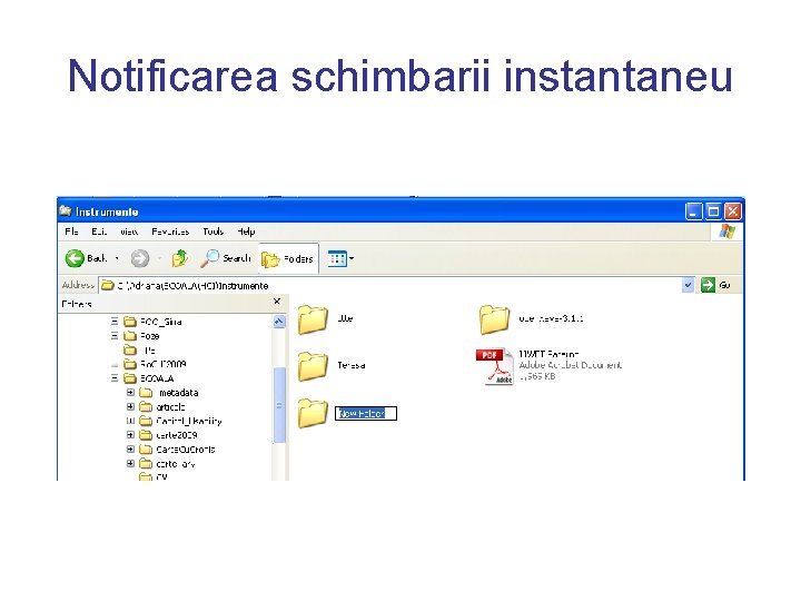 Notificarea schimbarii instantaneu 