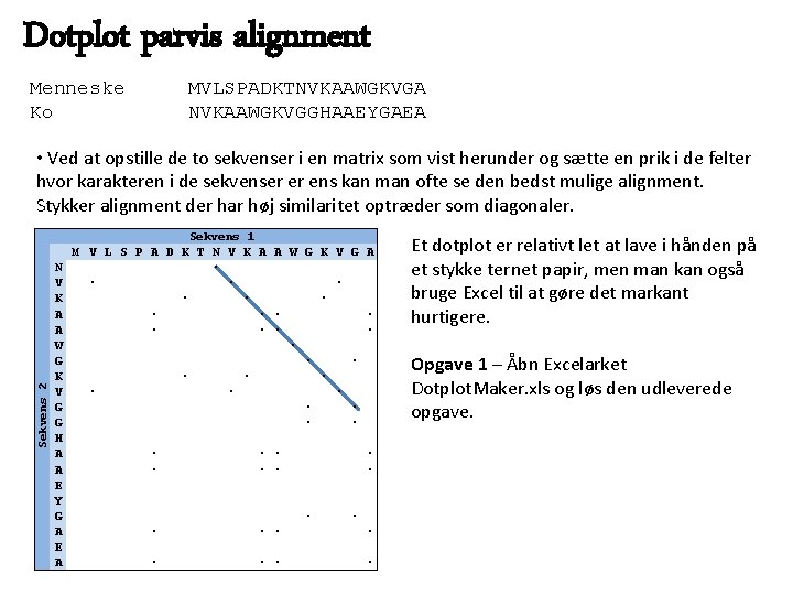 Dotplot parvis alignment Menneske Ko MVLSPADKTNVKAAWGKVGA NVKAAWGKVGGHAAEYGAEA • Ved at opstille de to sekvenser