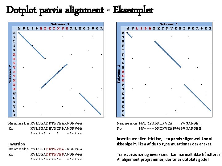 Dotplot parvis alignment - Eksempler A R W G P V G A ∙