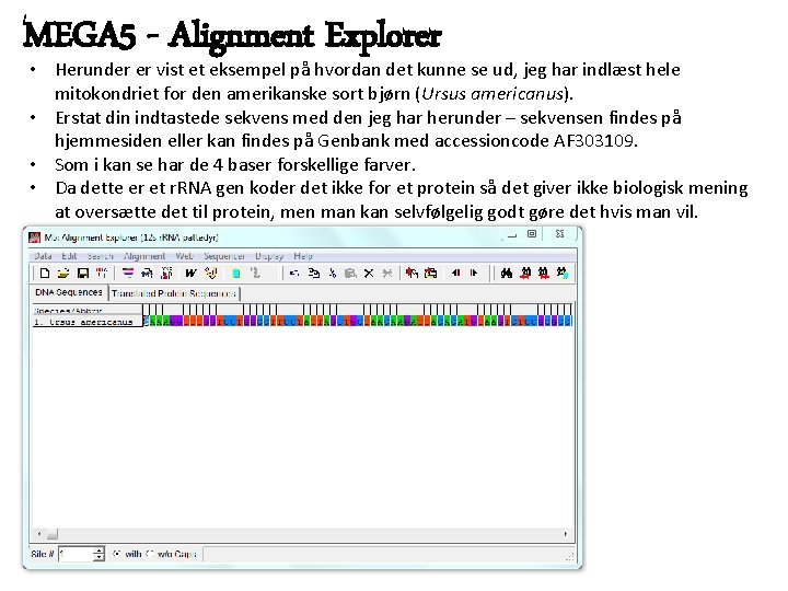 MEGA 5 - Alignment Explorer • Herunder er vist et eksempel på hvordan det