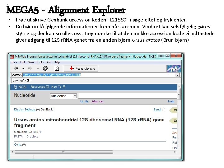 MEGA 5 - Alignment Explorer • Prøv at skrive Genbank accession koden ”L 21889”