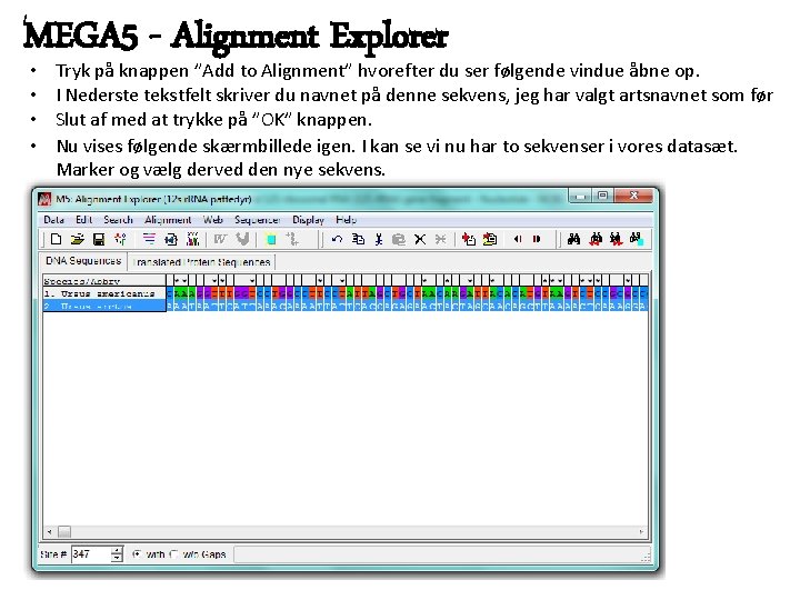 MEGA 5 - Alignment Explorer • • Tryk på knappen ”Add to Alignment” hvorefter