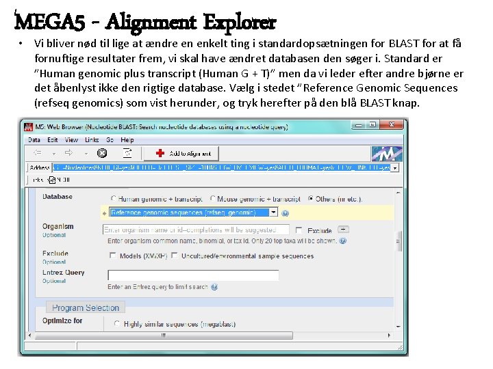MEGA 5 - Alignment Explorer • Vi bliver nød til lige at ændre en