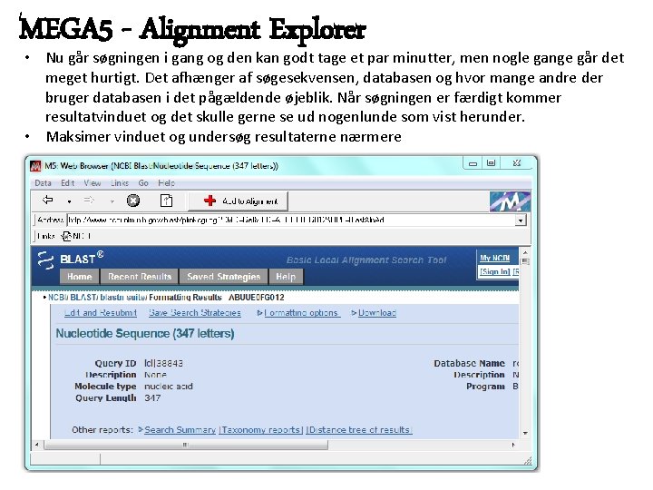 MEGA 5 - Alignment Explorer • Nu går søgningen i gang og den kan