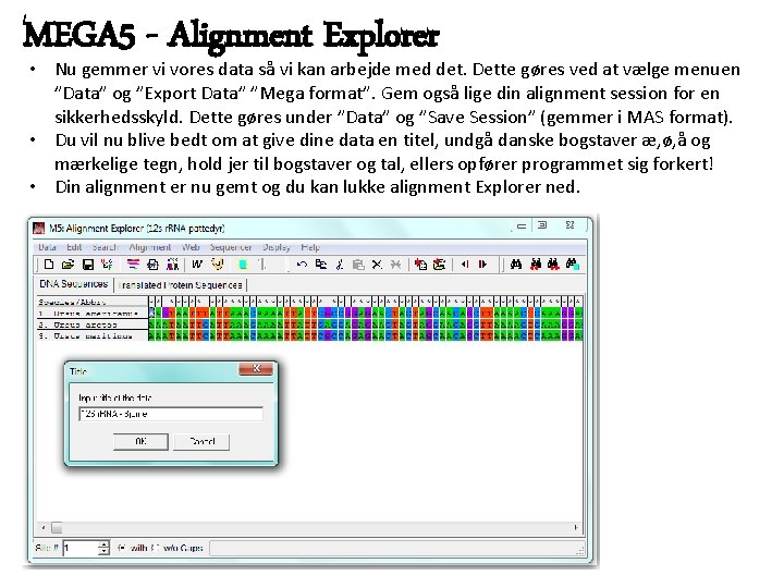 MEGA 5 - Alignment Explorer • Nu gemmer vi vores data så vi kan