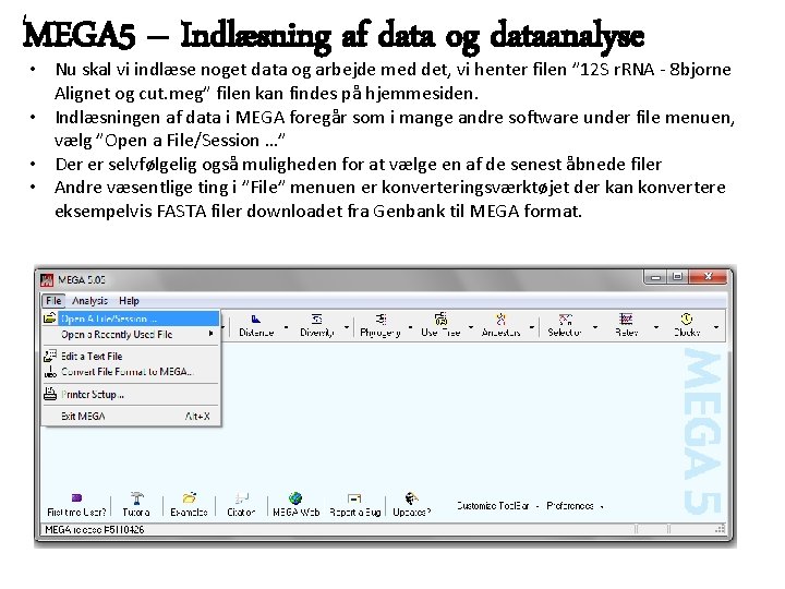 MEGA 5 – Indlæsning af data og dataanalyse • Nu skal vi indlæse noget