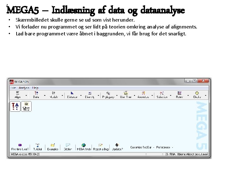 MEGA 5 – Indlæsning af data og dataanalyse • Skærmbilledet skulle gerne se ud