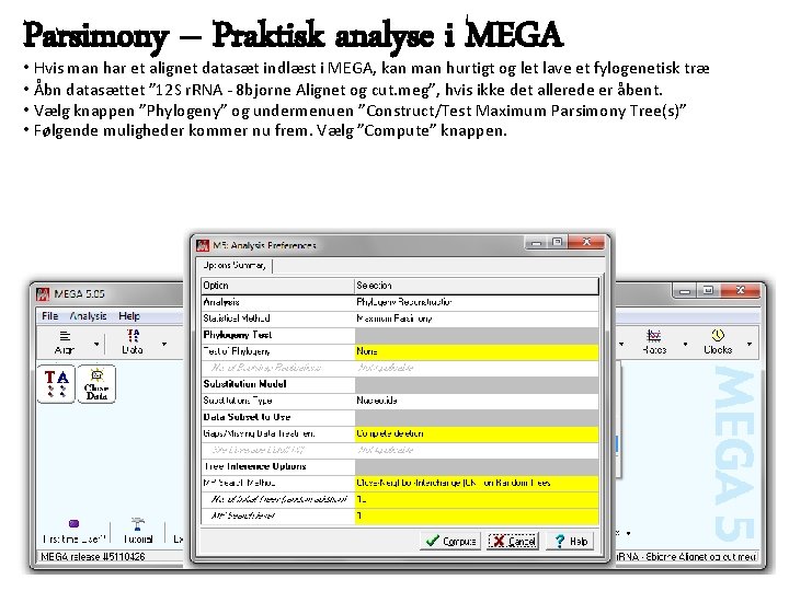 Parsimony – Praktisk analyse i MEGA • Hvis man har et alignet datasæt indlæst