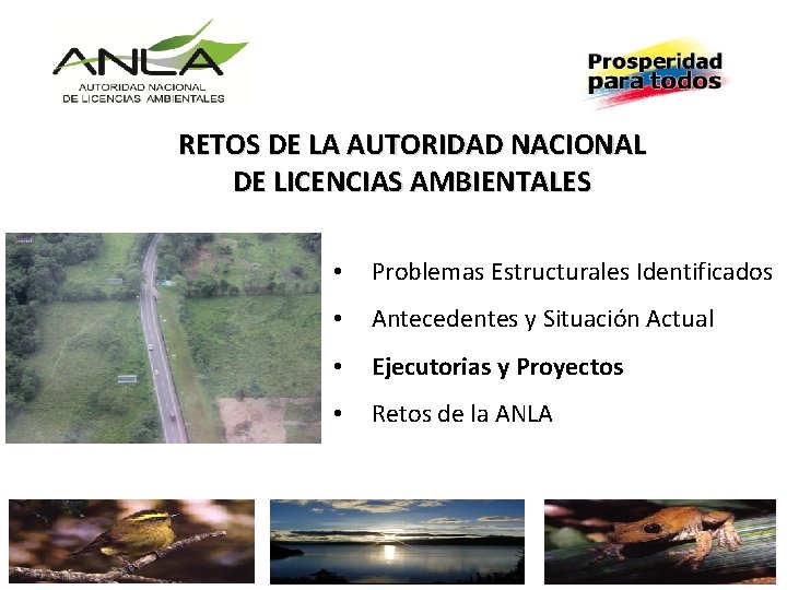 RETOS DE LA AUTORIDAD NACIONAL DE LICENCIAS AMBIENTALES • Problemas Estructurales Identificados • Antecedentes