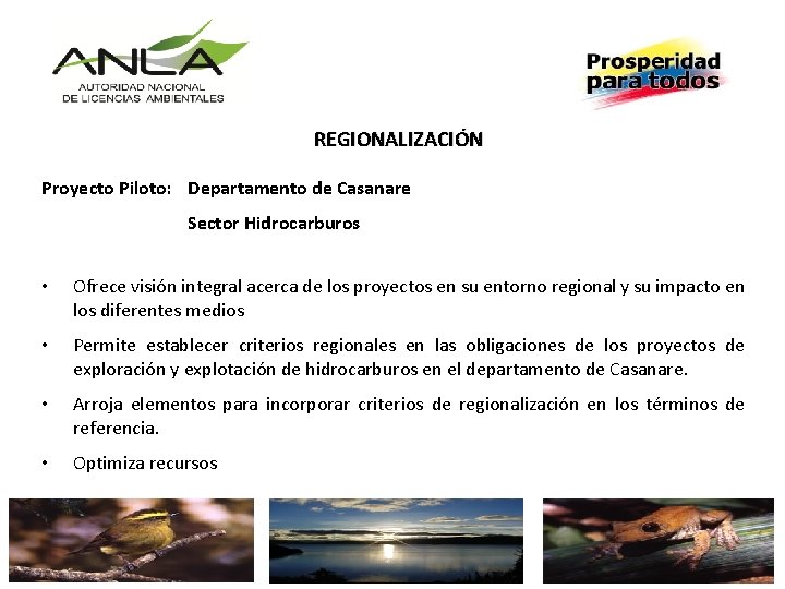 REGIONALIZACIÓN Proyecto Piloto: Departamento de Casanare Sector Hidrocarburos • Ofrece visión integral acerca de