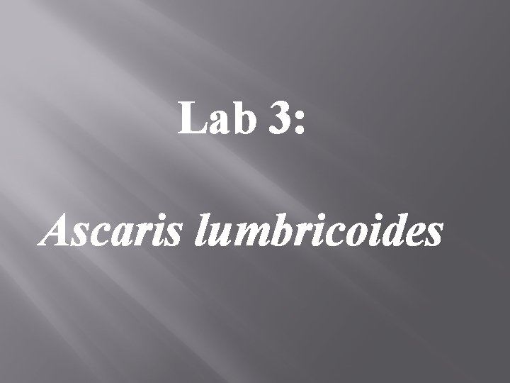 Lab 3: Ascaris lumbricoides 