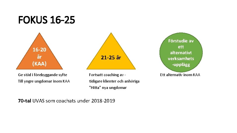 FOKUS 16 -25 16 -20 år (KAA) Förstudie av ett alternativt verksamhets -upplägg 21