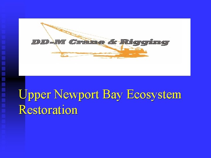 Upper Newport Bay Ecosystem Restoration 