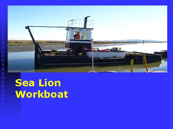 Sea Lion Workboat 