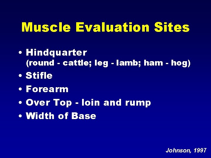 Muscle Evaluation Sites • Hindquarter (round - cattle; leg - lamb; ham - hog)