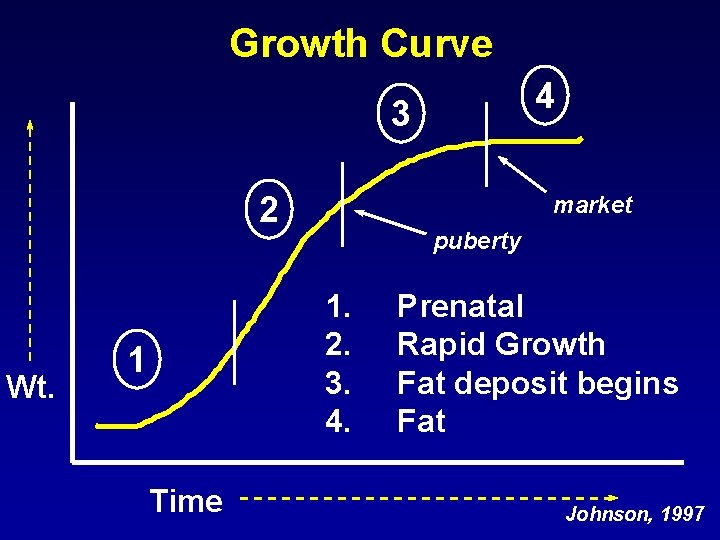 Growth Curve 4 3 2 Wt. market puberty 1. 2. 3. 4. 1 Time